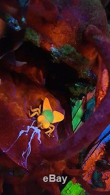 Animatronic huge venus fly trap like Haunted Attraction/Halloween prop