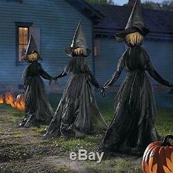 Black Witches Halloween Yard Witch Lighted Decoration Coven Outdoor Prop Set 3