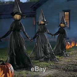 Black Witches Halloween Yard Witch Lighted Decoration Coven Outdoor Prop Set 3