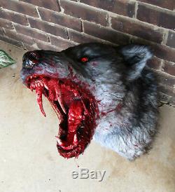 Bloody grey werewolf wall mount /with glowing LED eyes vampire haunted house goth
