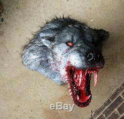 Bloody grey werewolf wall mount /with glowing LED eyes vampire haunted house goth