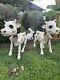 Cow Skeleton Halloween Decorative Prop Tractor Supply (1 Cow Only!)