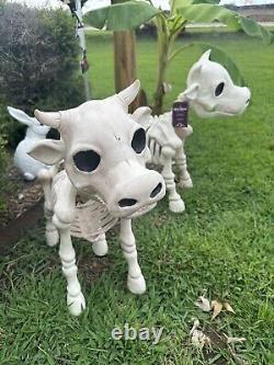 Cow Skeleton Halloween Decorative Prop Tractor Supply (1 Cow Only!)