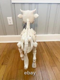 Cow Skeleton, Halloween Decorative Prop- Tractor Supply, TikTok Viral, NWT
