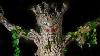 Evil Tree Haunted Forest Halloween Animatronics Distortions