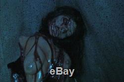 Female Mutilation Set The Walking Dead Halloween Prop Corpse