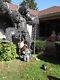 Giant King Kong (13 Foot) Halloween Prop-coffin, Mannequins, Huge Lot-animated