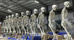 GIANT SKELETON 12ft with Animated LCD Eyes Halloween Prop Home Depot LOCAL PICKUP