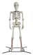 Giant 10' Poseable Skeleton Decoration For Halloween By