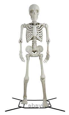 Giant 10' Poseable Skeleton Decoration for Halloween by