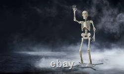 Giant 10' Poseable Skeleton Decoration for Halloween by