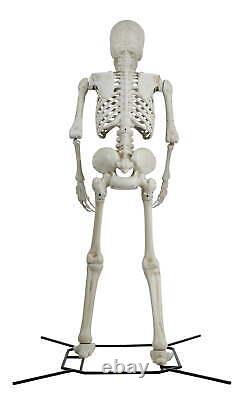 Giant 10' Poseable Skeleton Decoration for Halloween by