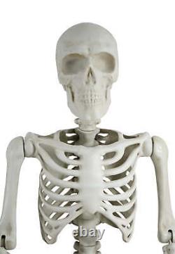 Giant 10' Poseable Skeleton Decoration for Halloween by