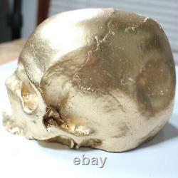 Gold Halloween Skull Pirate Prop Decor