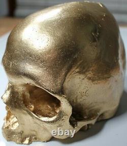 Gold Halloween Skull Pirate Prop Decor