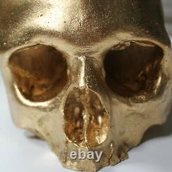 Gold Skull Halloween Prop Solid Plaster Painted Decor II