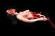 Gory Female Torso The Walking Dead Haunted Halloween Prop Life Size Corpse