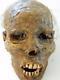 Halloween Horror Movie Prop Realistic Resin Human Corpse Head Mummified Mark