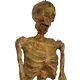 Halloween Jack The Ripper Peeping Tom Prop Hanging Skeleton 32 Inches Tall