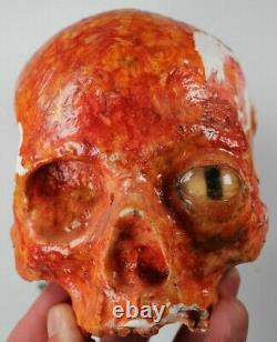 HALLOWEEN Orange Oscar Skull Plaster Glass Eye Zombie Peeling