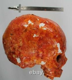 HALLOWEEN Orange Oscar Skull Plaster Glass Eye Zombie Peeling