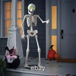 Halloween 2024 Hyde & Eek! Boutique Animated 5'6 Skeleton BRAND NEW