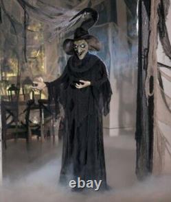 Halloween 6 FT Creepy Light-Up Standing Witch Outdoor Halloween Decoration