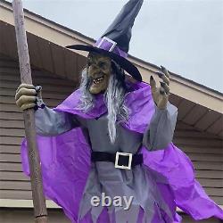 Halloween Animated Hovering Witch Animatronics Halloween Decoration Outdoor 12ft