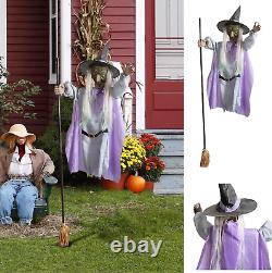 Halloween Animated Hovering Witch Animatronics Halloween Decoration Outdoor 12ft