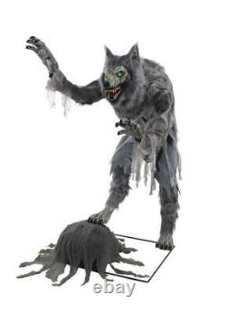 Halloween Animated Lanky Werewolf Life Size Prop