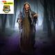 Halloween Animatronics Evil Witch. 5ft 2in Animated Halloween Decoration. Standi