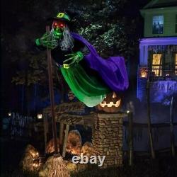 Halloween Decorations Outdoor 12 Ft Animated Hovering Witch Animatronics Sound