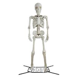 Halloween Giant Poseable Skeleton Decoration, Bone Color, by Way To Celebrate