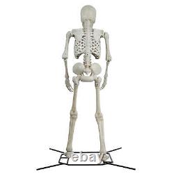 Halloween Giant Poseable Skeleton Decoration, Bone Color, by Way To Celebrate