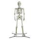 Halloween Giant Poseable Skeleton Decoration Iron Frame And Base Durable Plastic