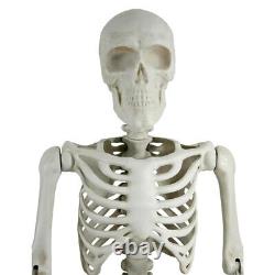 Halloween Giant Poseable Skeleton Decoration Iron Frame and Base Durable Plastic