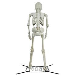 Halloween Giant Poseable Skeleton Decoration Iron Frame and Base Durable Plastic