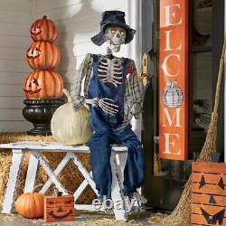Halloween Hillbilly Skeleton with Glowing Eyes & Creepy Music Plastic Fabric 52H