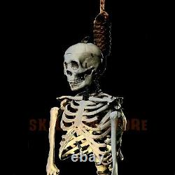 Halloween Horror Hangman's Noose Prop 30 FT Not 13 FT Rope Natural Skeletons
