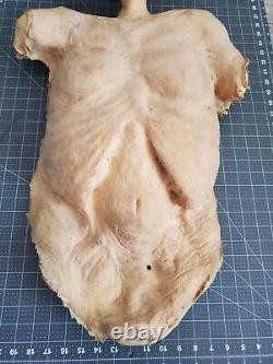 Halloween Prop Foam Latex Scarecrow Zombie Character Torso Head New professional