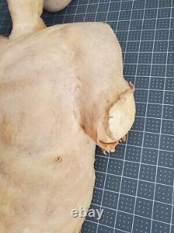 Halloween Prop Foam Latex Scarecrow Zombie Character Torso Head New professional