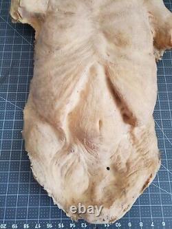 Halloween Prop Foam Latex Scarecrow Zombie Character Torso Head New professional