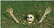 Halloween Skeleton Bones With Ground Stakes/outdoor Lawn Decoration/prop