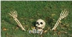 Halloween Skeleton Bones With Ground Stakes/Outdoor Lawn Decoration/Prop