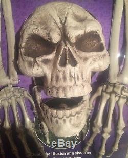 Halloween Skeleton Bones With Ground Stakes/Outdoor Lawn Decoration/Prop