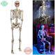 Halloween Skeleton Fully Assembled 5 Ft Life Size Prop Decoration Led Lit Eyes