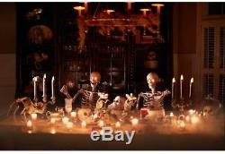 Halloween Skeleton Fully Assembled 5 Ft Life Size Prop Decoration LED Lit Eyes