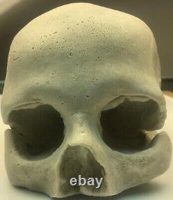 Halloween Skull Skeleton Decoration Prop White Head Prextex Realistic Haunted Ne