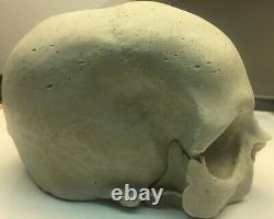 Halloween Skull Skeleton Decoration Prop White Head Prextex Realistic Haunted Ne