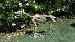 Halloween Standing 52 Skeleton Pony Led Illuminated Eyes & Sound Effects